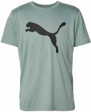 PUMA Funkčné tričko 'Tad Essentials'  nefritová / čierna
