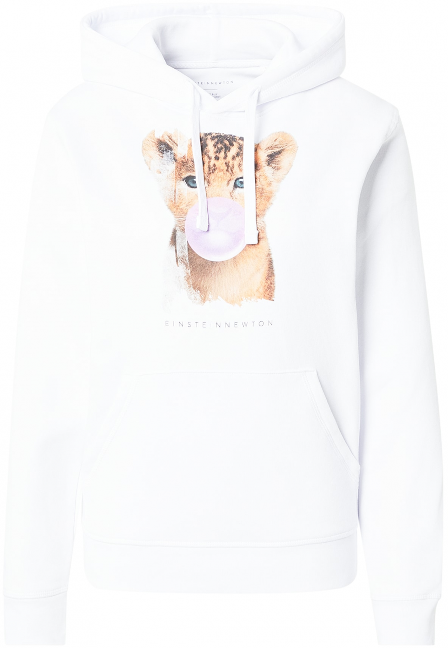 EINSTEIN & NEWTON Mikina  hnedá / fialová / biela