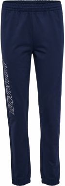 Hummel Športové nohavice 'Pulse'  námornícka modrá / biela