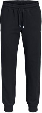 Jack & Jones Plus Nohavice 'JPSTGORDON COLLEGE'  čierna