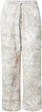 HOLLISTER Nohavice  sivá / sivobéžová / biela