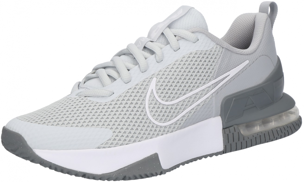 NIKE Nízke tenisky 'Air Max Alpha Trainer 6'  sivá / biela