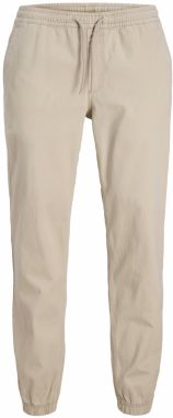 JACK & JONES Nohavice 'JPSTGORDON DYLAN'  kamenná