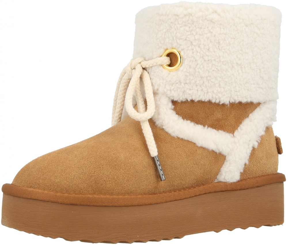 STEVE MADDEN Nízke čižmy 'Shadow'  krémová / tmavobéžová