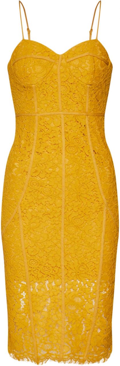 bardot sophia lace dress
