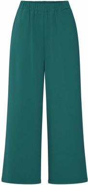 Dr. Denim Nohavice 'Able Trousers'  zelená