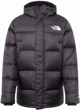 THE NORTH FACE Zimná bunda 'Deptford'  tmavosivá