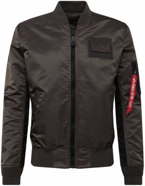 ALPHA INDUSTRIES Prechodná bunda  tmavosivá / čierna