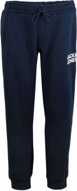 Jack & Jones Plus Nohavice 'Gordon'  námornícka modrá / biela