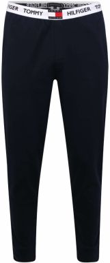 Tommy Hilfiger Underwear Pyžamové nohavice  námornícka modrá / červená / biela