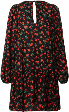 Miss Selfridge Šaty  zelená / červená / čierna