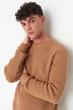 Trendyol Camel Regular Fit Crew Neck Textured Basic Knitwear Sweater