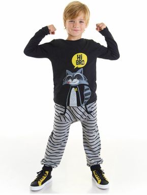 Denokids Raccoon Boys T-shirt Pants Set