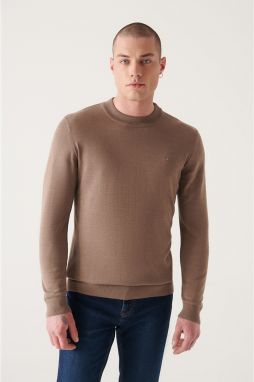 Avva Men's Mink Half Turtleneck Standard Fit Normal Cut Knitwear Sweater