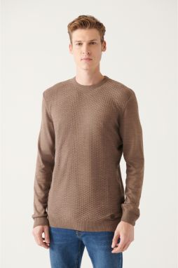 Avva Men's Mink Crew Neck Textured Front Regular Fit Knitwear Sweater