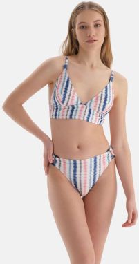 Dagi Pink-blue Normal Waist Bikini Bottoms