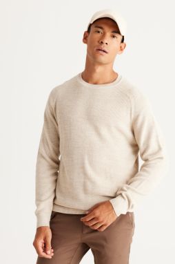 AC&Co / Altınyıldız Classics Men's Stone Standard Fit Regular Cut Crew Neck Patterned Knitwear Sweater