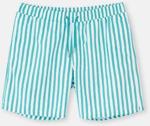 Dagi Green-White Striped Mini Shorts