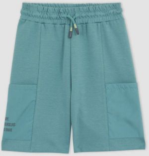 DEFACTO Boy Regular Fit Shorts