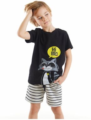 Denokids Raccoon Boy's T-shirt Shorts Set