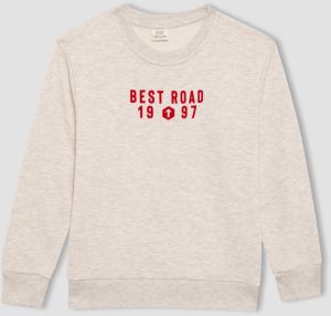 DEFACTO Crew Neck Sweatshirt