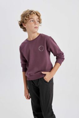 DEFACTO Crew Neck Sweatshirt