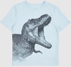 GAP Children's T-shirt with print - Boys