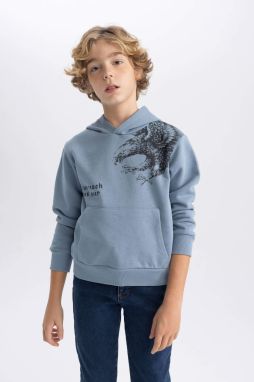 DEFACTO Boy Printed Hooded Thick Sweatshirt