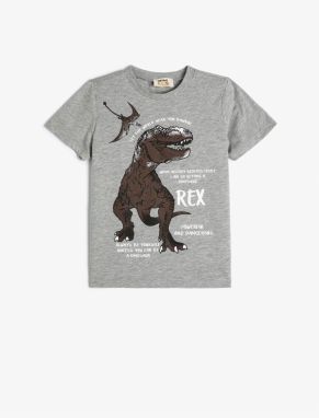 Koton Dinosaur T-Shirt Short Sleeve Crew Neck