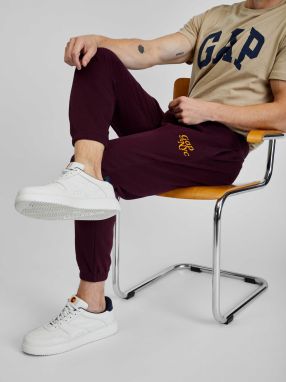 Tepláky s logom Gap - Muži