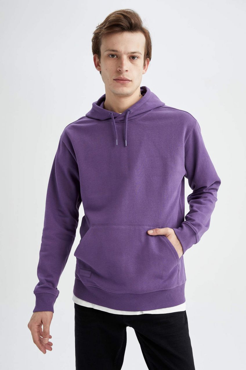 DEFACTO Mikina s dlhým rukávom Regular Fit