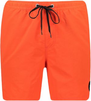Pánske kúpacie kraťasy Quiksilver OCEAN BEACH PLEASE 16