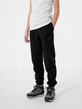 4F JSPDD002