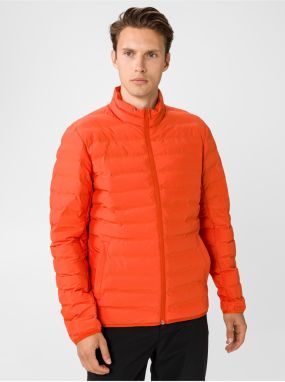 Bunda Helly Hansen