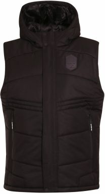 Pánska vesta ALPINE PRO Darah