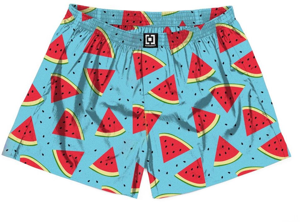 Men's shorts Horsefeathers Manny Melon