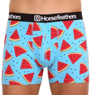 Men's boxers Horsefeathers Sidney Melon