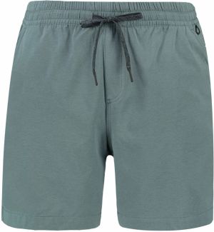Pánske kraťasy Quiksilver TAXER HEATHER AMPHIBIAN 18