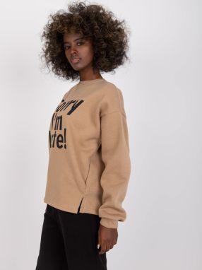 Dark beige oversize sweatshirt with print without hood Francisco