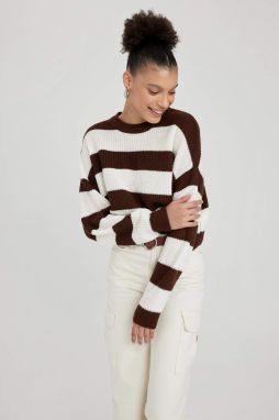 DEFACTO Oversize Fit Pulóver s Okrúhlym Výstrihom