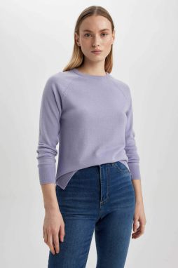 DEFACTO Regular Fit Crew Neck pulóver