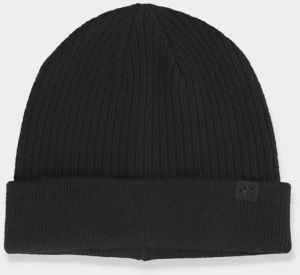 Men's winter hat 4F Black