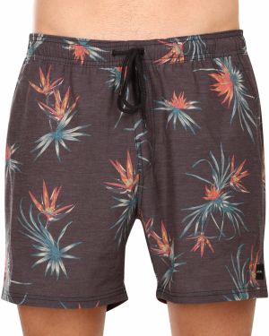 Men's swimwear Rip Curl multicolor