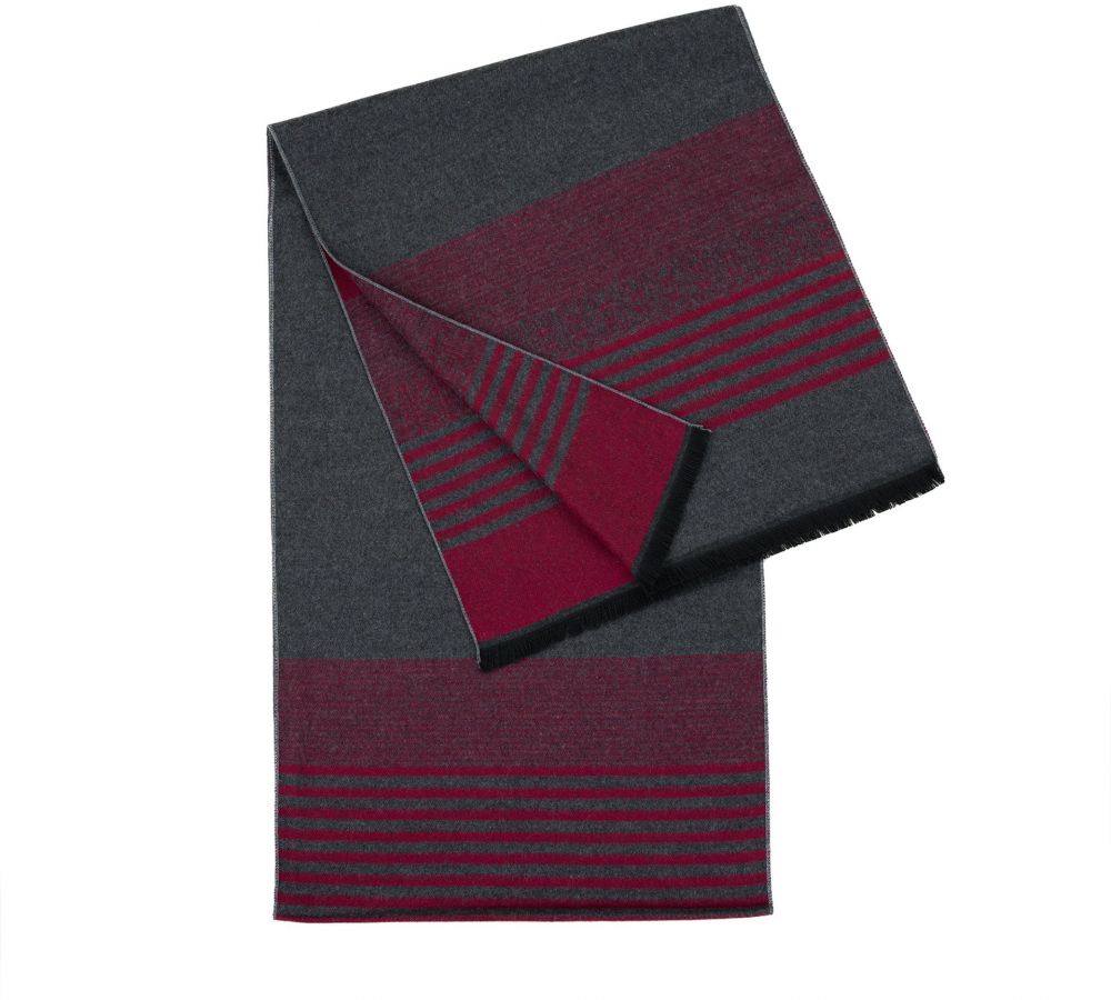 Art Of Polo Man's Scarf Sz23418-6