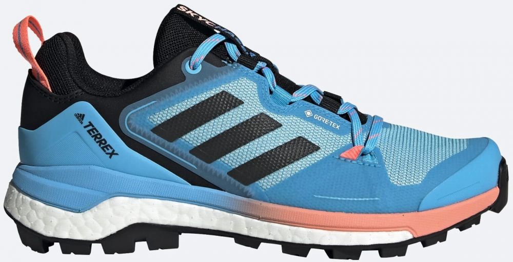 Women's shoes adidas Terrex Skychaser 2 GTX W Blue
