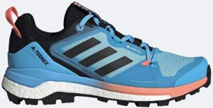 Women's shoes adidas Terrex Skychaser 2 GTX W Blue