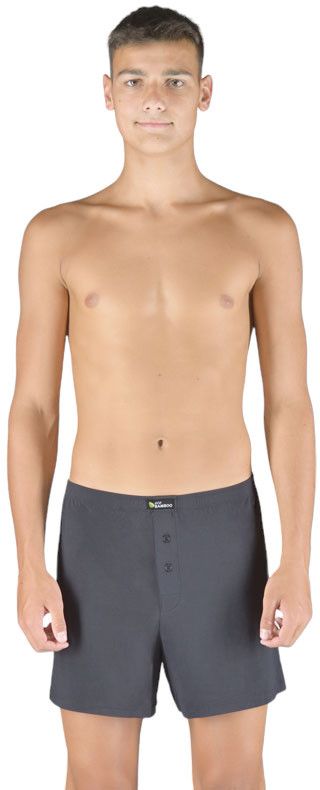 Men's Boxer Shorts Gino Bamboo Grey