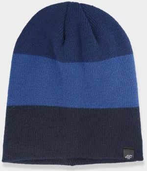 Men's winter hat 4F dark blue