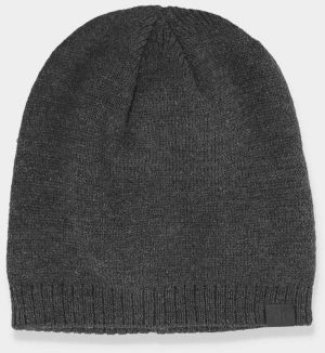 Men's Winter Hat 4F Dark Grey