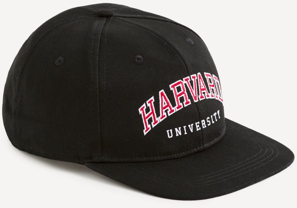 Šiltovka Harvard Celio